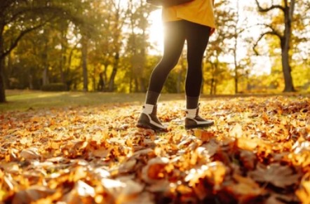 Le bien-être de marcher en forêt pour faire du bien à ton système immunitaire 1